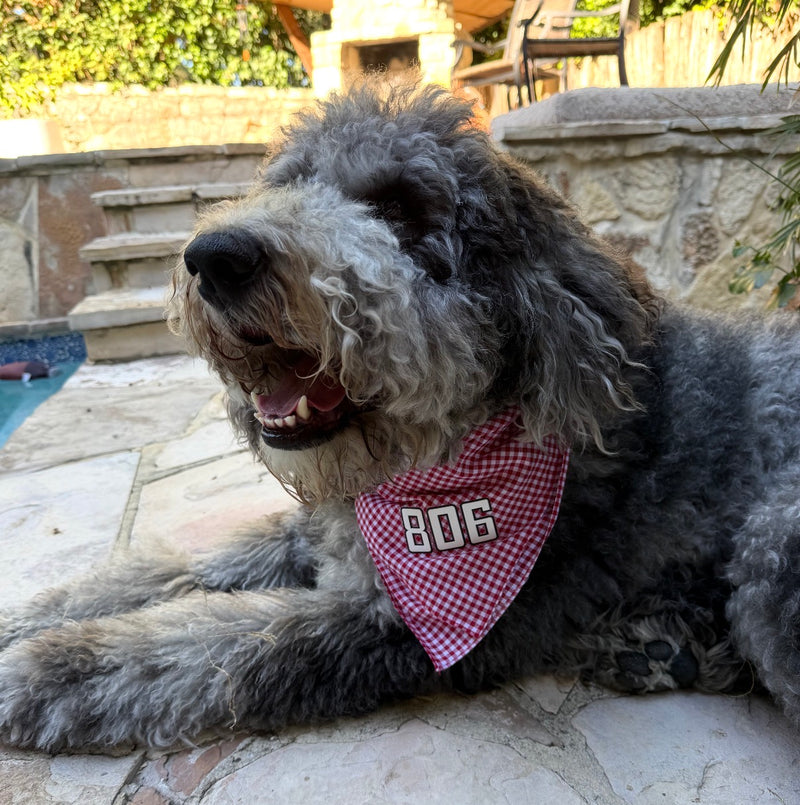 Load image into Gallery viewer, Red Gingham Dog Bandana
