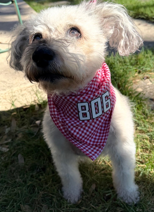 Red Gingham Dog Bandana