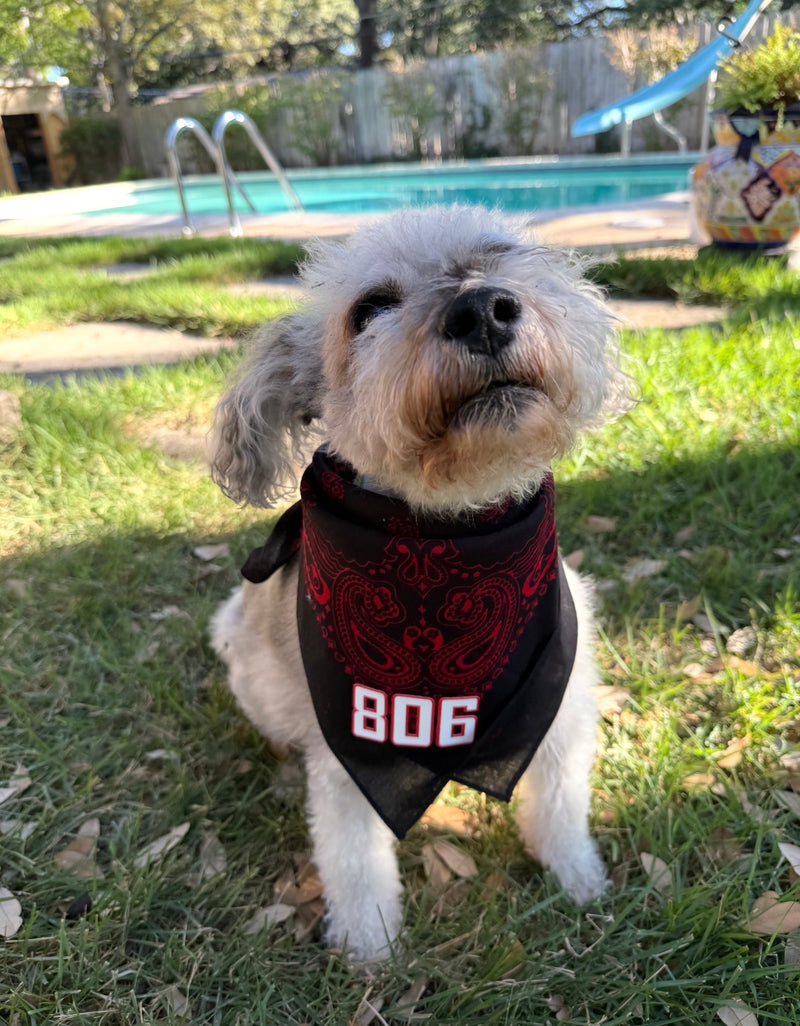 Load image into Gallery viewer, Black/Red Dog Bandana
