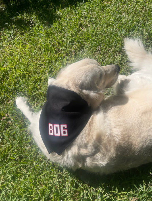 Black Dog Bandana
